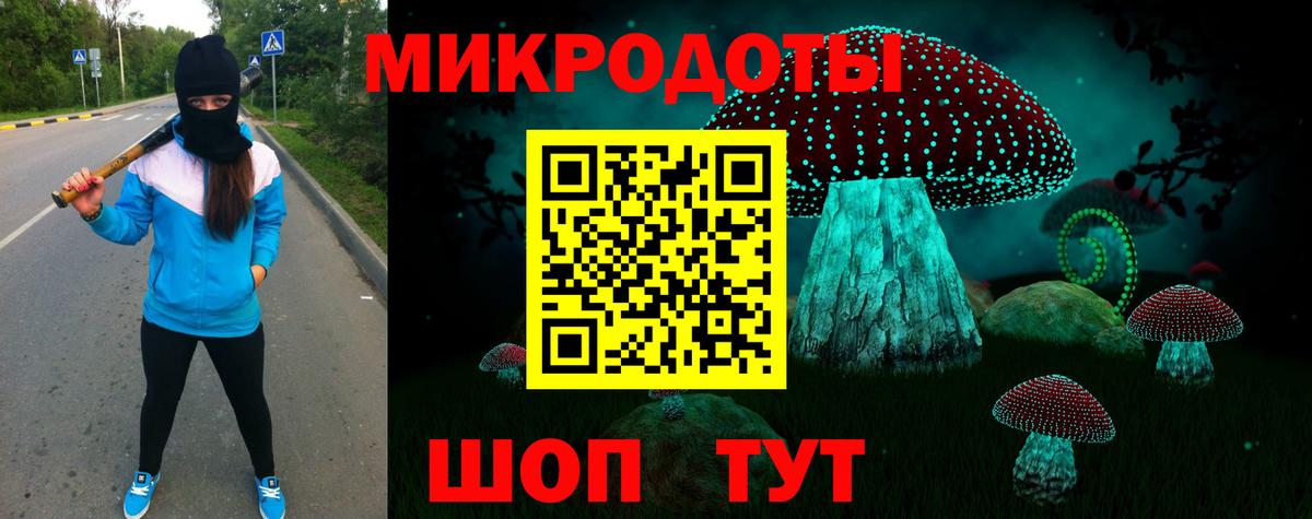 Галлюциногенные грибы Psilocybine cubensis Сафоново