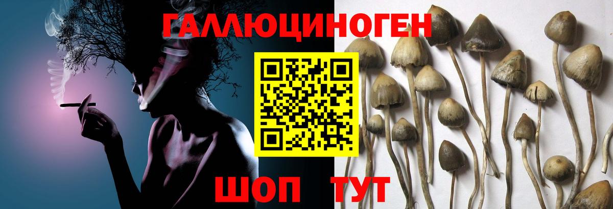 Псилоцибиновые грибы мухоморы  Вход с VPN  Псилоцибиновые грибы Psilocybe  Сафоново 
